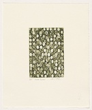 Artist: b'Taylor, Simon.' | Title: b'Olive green' | Date: 2007 | Technique: b'etching, open-bite and aquatint, printed in colour, from one plate'