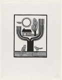 Artist: b'Groblicka, Lidia.' | Title: b'Sun tree' | Date: 1972 | Technique: b'woodcut, printed in black ink, from one block'