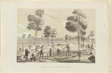 Title: Golden Point, Mt Alexander. | Date: 1852 | Technique: lithograph, printed in colour, from two stones