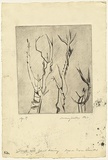 Artist: WALKER, Murray | Title: Rose or thorn growths | Date: 1960 | Technique: etching, printed in black ink, from one plate