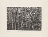 Artist: b'Forbes, Clem.' | Title: b'Eunjella pool.' | Date: 1977 | Technique: b'etching, printed in black ink, from one plate'