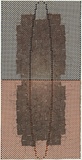 Artist: ARNOLD, Raymond | Title: Body armour or char/Corps. | Date: 1998-99 | Technique: etching, printed intaglio and relief in colour, from two plates
