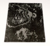 Artist: SHEARER, Mitzi | Title: not titled | Technique: etching and aquatint, printed in black ink, from one plate