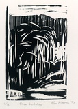 Artist: WARREN, Alan | Title: Noosa backdrop | Date: 1977 | Technique: linocut, printed in black ink, from one block