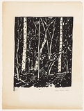 Artist: b'Hickey, Dale.' | Title: b'(Bush scene)' | Date: 1980 | Technique: b'lithograph, printed in black ink, from one plate'