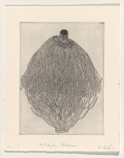Artist: HALL, Fiona | Title: Algal bloom | Date: 1999, October | Technique: etching, printed in black ink, from one plate | Copyright: © Fiona Hall