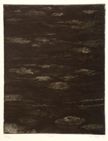 Artist: b'McIntosh, Ian.' | Title: b'Float' | Date: 1993 | Technique: b'aquatint, printed in black ink, with plate-tone; from one plate'