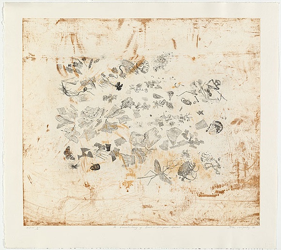 Artist: b'Wolseley, John.' | Title: b'A vocabulary of dust - Simpson Desert' | Date: 1993 | Technique: b'etching, printed in colour, from three plates' | Copyright: b'\xc2\xa9 John Wolseley. Licensed by VISCOPY, Australia'