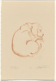 Artist: b'Tritton-Young, Maxienne.' | Title: b'Amy sleeping' | Date: 1987 | Technique: b'lithograph, printed in brown ink, from one stone'