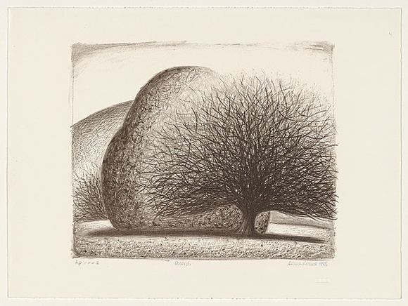 Artist: b'Russell,, Deborah.' | Title: b'Roadside' | Date: 1988 | Technique: b'lithograph, printed in black ink, from one stone'