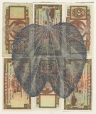 Artist: HALL, Fiona | Title: Bauhinia blakeana - Hong Kong orchid tree (Hong Kong currency) | Date: 2000 - 2002 | Technique: gouache | Copyright: © Fiona Hall