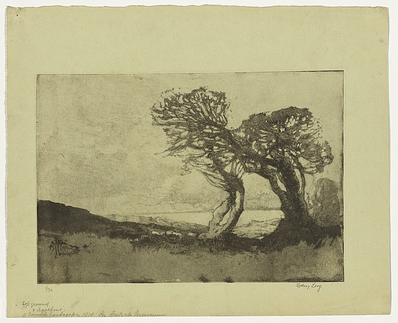 Artist: b'LONG, Sydney' | Title: b'A Cornish landscape' | Date: 1919 | Technique: b'aquatint and softground-etching, printed in black ink, from one copper plate' | Copyright: b'Reproduced with the kind permission of the Ophthalmic Research Institute of Australia'