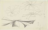 Artist: b'Burns, Peter.' | Title: b'Space flowers.' | Date: 1958 | Technique: b'photocopy, printed in black ink' | Copyright: b'\xc2\xa9 Peter Burns'