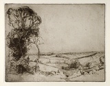 Artist: b'LONG, Sydney' | Title: b'Pastoral landscape' | Date: 1928, after | Technique: b'line-etching, drypoint, foul biting printed in black ink from one plate' | Copyright: b'Reproduced with the kind permission of the Ophthalmic Research Institute of Australia'