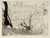 Artist: SHEARER, Mitzi | Title: The cat is looking on | Date: 1979 | Technique: etching, printed in black ink, from one  plate