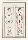 Artist: b'Russell, Belinda.' | Title: bMen 'do' have external genitals. | Date: 1992 | Technique: b'lithograph, printed in colour, from three stones'