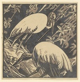 Artist: b'Olsen, Betty' | Title: b'not titled [two birds]' | Date: c.1942 | Technique: b'linocut, printed in colour, from multiple blocks'