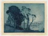 Artist: b'LONG, Sydney' | Title: b'Moonrise on the lake' | Date: 1929 | Technique: b'line-etching, soft-ground etching and aquatint, printed in blue ink with plate-tone, from one plate' | Copyright: b'Reproduced with the kind permission of the Ophthalmic Research Institute of Australia'