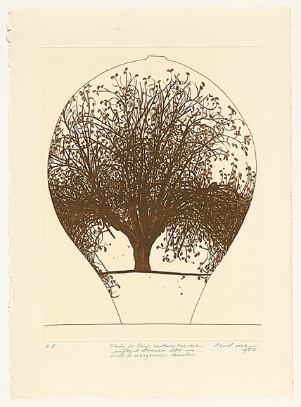 Artist: b'Rose, David.' | Title: b'Study for large mulberry tree vase' | Date: 1980 | Technique: b'etching and aquatint, printed in black ink, from one plate'