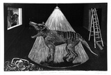 Artist: b'Moynihan, Danny.' | Title: b'Thylacinus Cynocephalus (Tasmanian tiger)' | Date: 1984 | Technique: b'aquatint, etching, deep bite, printed in black ink, from one plate'