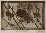 Artist: EDWARDS, David | Title: Life of an echidna | Date: 1999, April | Technique: etching, printed in black ink, from one plate