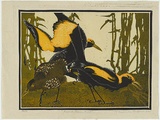 Artist: b'GRIFFIN, Murray' | Title: b'Regent bower birds [1].' | Date: 1932 | Technique: b'linocut, printed in colour, from multiple blocks'