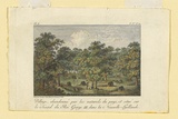 Title: Village, abandone par les naturels du pays, et situe sur le Sound du Roi George III, dans la Nouvelle-Hollande. [Village, abandoned by the natives, located on King George III Sound in New Holland.] | Date: 1802 | Technique: engraving, printed in black ink, from one copper plate; hand-coloured at a later date