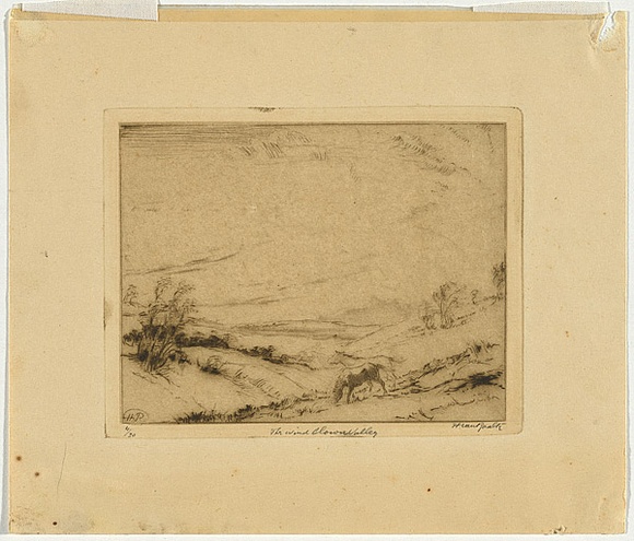 Artist: b'van RAALTE, Henri' | Title: b'The wind blown valley' | Date: c.1926 | Technique: b'drypoint, printed in warm black ink, from one plate'