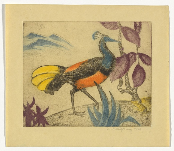 Artist: b'Montgomery, Anne.' | Title: b'(The peacock)' | Date: 1936 | Technique: b'etching, aquatint printed in colour from  plate'