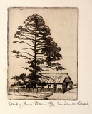 Artist: b'McDonald, Sheila.' | Title: b'Study, Emu Plains' | Date: c.1935 | Technique: b'etching printed in light brown'