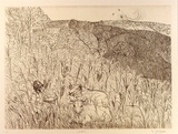 Artist: b'ZOFREA, Salvatore' | Title: b'October' | Date: 1984 | Technique: b'hardground-etching, printed in brown ink, from one zinc plate' | Copyright: b'\xc2\xa9 Salvatore Zofrea, 1984'