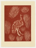 Artist: b'Bird Petyarre, Ada.' | Title: b'Emu' | Date: 1991 | Technique: b'linocut, printed in red ink, from one block' | Copyright: b'\xc2\xa9 Ada Bird Petyarr. Licensed by VISCOPY, Australia'