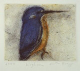 Artist: b'Bragge, Anita.' | Title: b'Kingfisher' | Date: 1998 | Technique: b'aquatint, sugarlift and drypoint, printed in colour, from three plates'