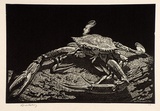 Artist: b'LINDSAY, Lionel' | Title: b'The crab' | Date: 1931 | Technique: b'wood-engraving, printed in black ink, from one block' | Copyright: b'Courtesy of the National Library of Australia'