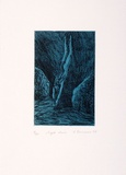 Artist: Burrows, Lola. | Title: Night dive. | Date: 1989 | Technique: etching, printed in colour from one plate