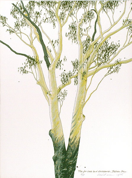 Artist: b'Rose, David.' | Title: b'Tree for bees and kookaburras, Bateau Bay' | Date: 1975 | Technique: b'screenprint, printed in colour, from multiple stencils'