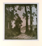 Artist: REYNOLDS, Frederick George | Title: (Forest clearing) | Date: c.1931 | Technique: woodblock, printed in colour, from multiple blocks