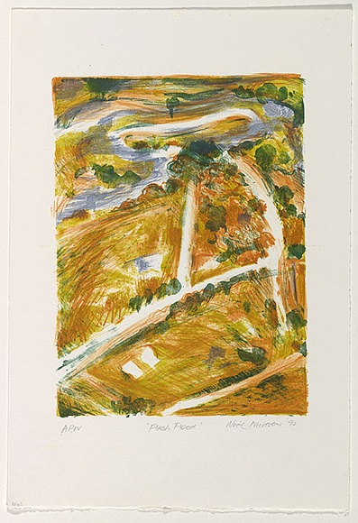 Artist: b'NICOLSON, Noel' | Title: b'Flash flood' | Date: 1992, April - May | Technique: b'lithograph, printed in colour from multiple stones'