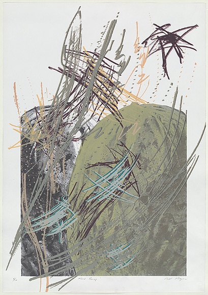 Artist: b'MEYER, Bill' | Title: b'Forest rising' | Date: 1986 | Technique: b'photo-screenprint, printed in colour, from eight stencils' | Copyright: b'\xc2\xa9 Bill Meyer'
