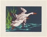 Artist: UNKNOWN | Title: [Two flying ducks]. | Date: (1978-80) | Technique: screenprint, printed in colour, from six stencils