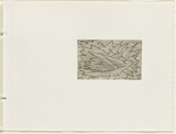 Artist: JACKS, Robert | Title: not titled [abstract linear composition]. [leaf 43 : recto] | Date: 1978 | Technique: etching, printed in black ink, from one plate