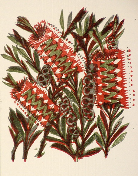 Artist: b'OGILVIE, Helen' | Title: b'Greeting card: Bottlebrush' | Date: c.1950 | Technique: b'linocut, printed in colour, from multiple blocks'