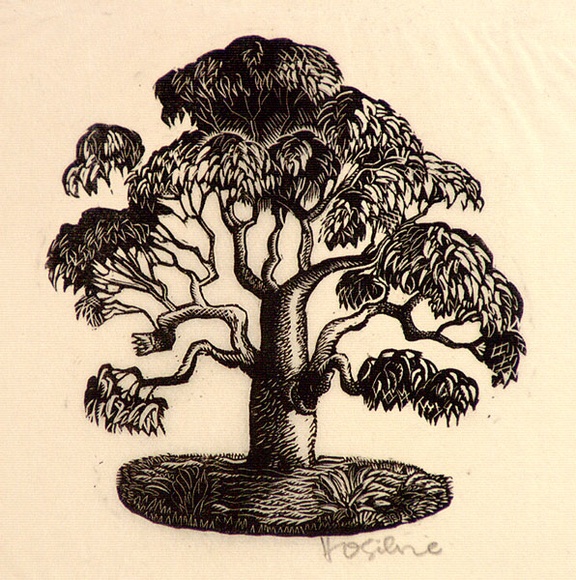 Artist: b'OGILVIE, Helen' | Title: b'not titled [Colophon: stylized gum tree].' | Date: c.1944 | Technique: b'wood-engraving, printed in black ink, from one block'