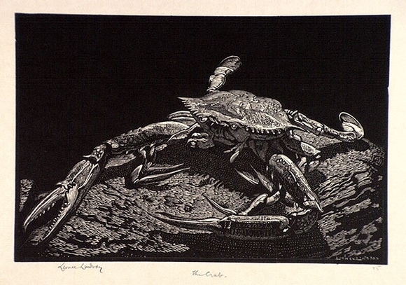 Artist: b'LINDSAY, Lionel' | Title: b'The crab' | Date: 1931 | Technique: b'wood-engraving, printed in black ink, from one block' | Copyright: b'Courtesy of the National Library of Australia'