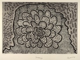 Artist: b'NGARRAIJA, Tommy May' | Title: b'Yungkuja' | Date: 1995, November | Technique: b'etching and lift-ground aquatint, printed in black ink, from one plate'