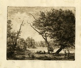 Artist: Farmer, John. | Title: Landscape. | Date: 1962 | Technique: etching, softground-etching, printed in brown ink with plate-tone, from one plate