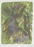 Artist: MEYER, Bill | Title: Rainforest | Date: 1988 | Technique: screenprint, printed in eight colours, from multiple screens | Copyright: © Bill Meyer