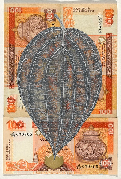 Artist: b'HALL, Fiona' | Title: b'Piper nigrum - Black pepper (Sri Lankan currency)' | Date: 2000 - 2002 | Technique: b'gouache' | Copyright: b'\xc2\xa9 Fiona Hall'