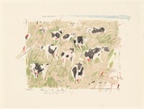Artist: MACQUEEN, Mary | Title: Cows in the meadow [1] | Date: 1979 | Technique: lithograph, printed in colour, from multiple plates | Copyright: Courtesy Paulette Calhoun, for the estate of Mary Macqueen