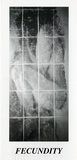 <p>Fecundity<span>: [prints] by Elizabeth Abbott.</span></p>
